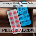 Kamagra 100Mg Gelée Orale Sildénafil new14